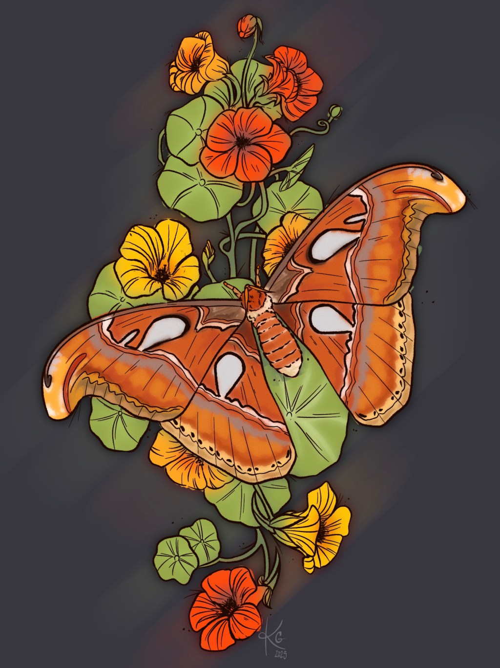 The Meaning Behind the Music: My Soundtrack to&nbsp;life